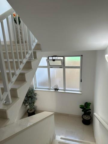 Apartment Palinic